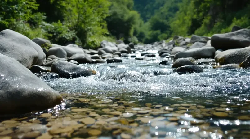 《山涧清音》剧照封面 - 师傅搞